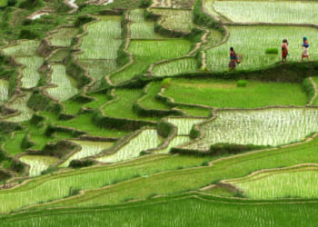 कृषि विकास रणनीति (२०७२-२०९२) माथि बहस