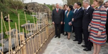 चिनिया मोडलको निर्यात