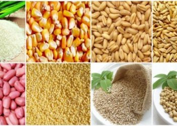 खाद्यान्नमा परनिर्भता बढ्दै