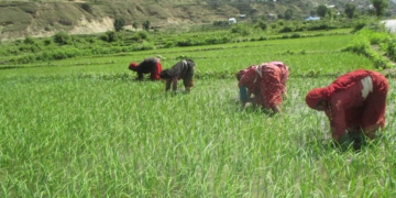 जचौरी कुलो : कर्णाली सभ्यताको महत्वपूर्ण धरोहर