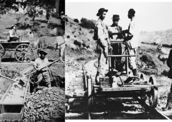 संयुक्त राज्य अमेरिकामा चीनियाँ आप्रवासको समस्या र निराकरणका प्रयाशहरु