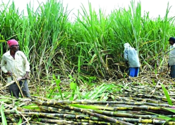 किसानले पैसा पाउँछन् : उद्योगमन्त्री भट्ट