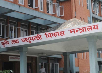 कोरोनापीडित किसानको राहत प्याकेज मन्त्रिपरिषद्मा पेश