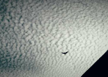 व्यवस्थापन