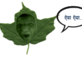 के बोटबिरुवालाई साँच्चै दुख्छ?