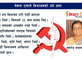 एमाले विभाजन, एकिकरण र भाँचिएको मन : साहना प्रधान