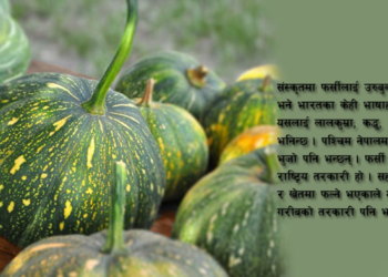 नौ हजार वर्ष पुरानो फर्सीको कथा