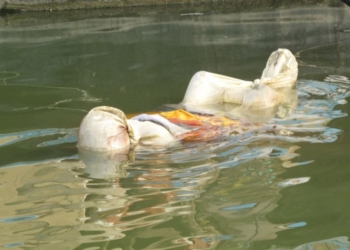 मृत्युसँगको हाम्रो सम्बन्ध बदल्दैछ कोरोना