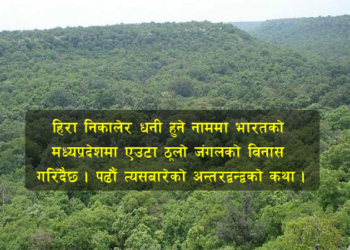 हिरा ठूलो कि जीवन?