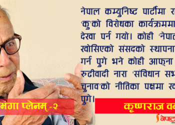 नेकपाले आफूलाई जिम्मेवार पार्टीका रुपमा यसरी स्थापित गरेको थियो