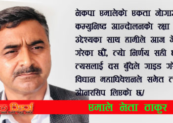 विधान महाधिवेशनले जुन दस्तावेज पास गरेको छ, त्यो आधारभूत रुपले सही छ