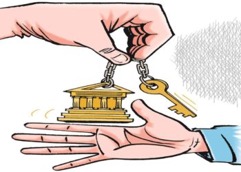 अन्धाधुन्ध निजीकरण पछाडीको सत्य के हो?