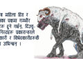 ‘दिज्जू फेमिनिजम्’ अर्थात् भालेवाद