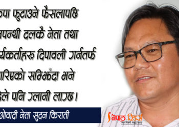 ‘तन्नेरी शरीरमा गाँसिएका बुढा टाउकोहरू’ले यो आन्दोलनलाई लैजान सक्दैनन्