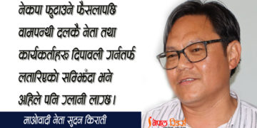 ‘तन्नेरी शरीरमा गाँसिएका बुढा टाउकोहरू’ले यो आन्दोलनलाई लैजान सक्दैनन्