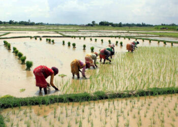 भूमिसुधारको बहस: कति सान्दर्भिक छ भूमिसुधार?