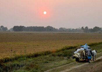 बसाइँ सराइ र तराईमा भूमि सम्बन्धी द्वन्द्व